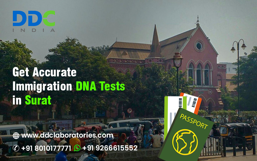 Immigration DNA Tests in Surat | Accurate & Affordable