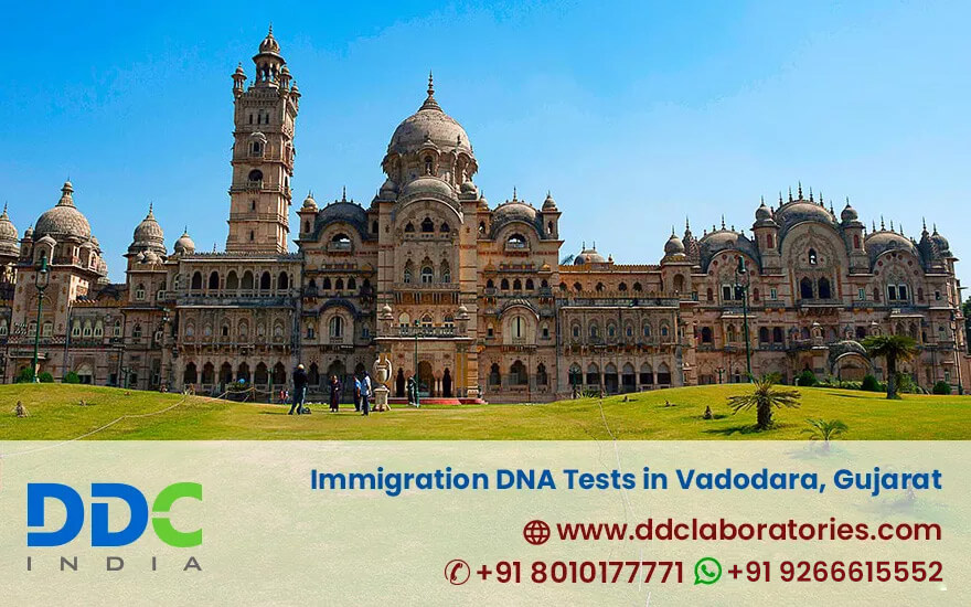 Immigration DNA Tests in Vadodara | Accurate & Reliable
